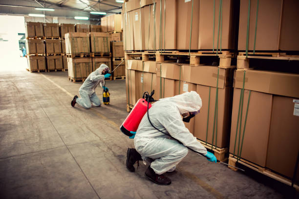 Best Bed Bug Extermination  in East Oakdale, CA