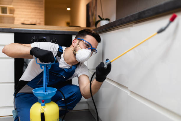 Best Cockroach Control Services  in East Oakdale, CA