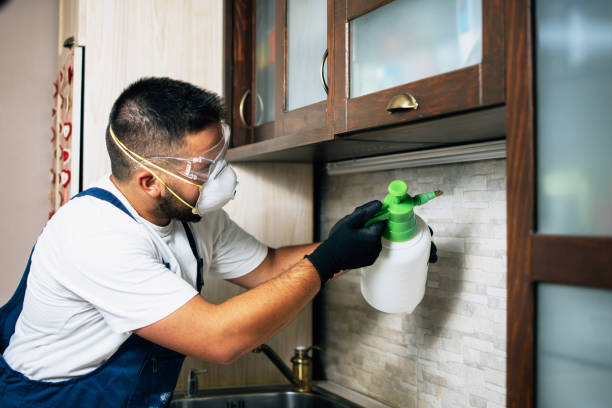 Best Affordable Pest Control Services  in East Oakdale, CA
