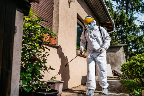 Best Local Pest Control Services  in East Oakdale, CA