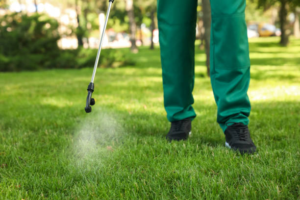 Best Ant Control Services  in East Oakdale, CA