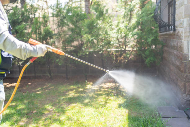 Best Residential Pest Control  in East Oakdale, CA