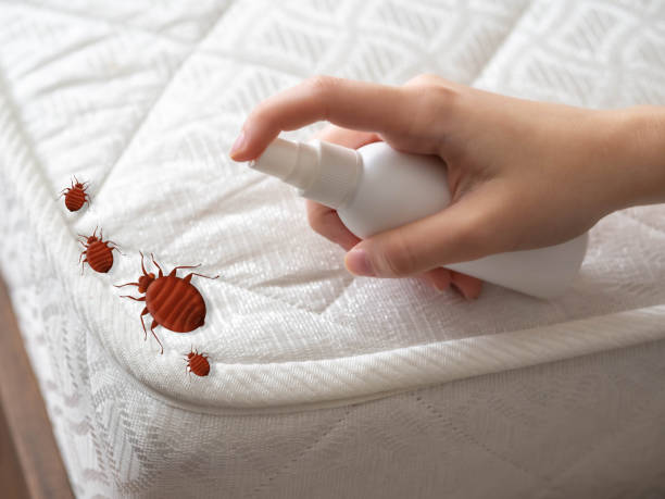 Best Residential Pest Control  in East Oakdale, CA