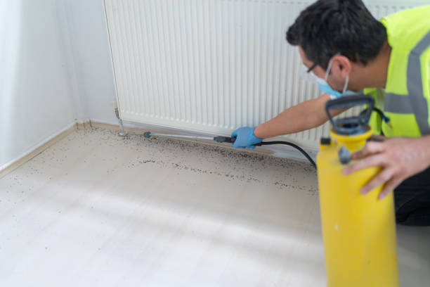 Best Ant Control Services  in East Oakdale, CA